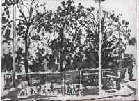 Children Playing